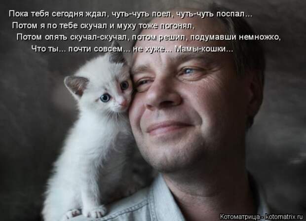 Лучшие котоматрицы недели