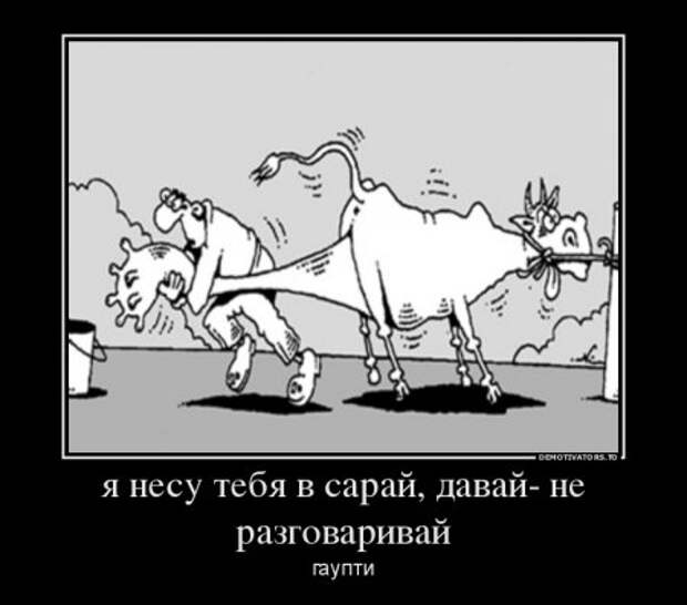 Демотиваторы они опять с нашими комментариями.