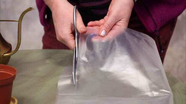 Плёночные ленты для высаживания рассады в открытый грунт