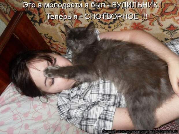 Лучшие котоматрицы недели (50 фото)