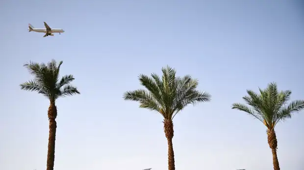 АТОР: туроператоры готовы открыть рейсы в Египет из 20 городов России