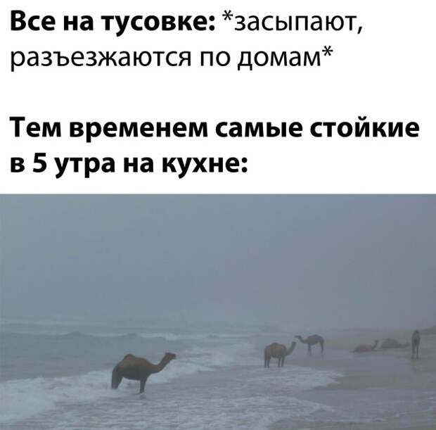 Смешные картинки 18 декабря 2020