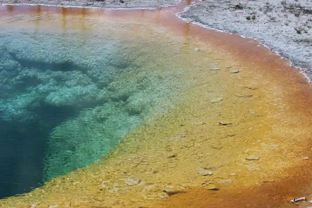 Озеро Утренней Славы (Morning Glory Pool) в национальном парке Йеллоустоуна (Yellowstone National Park). Фото с сайта NewPix.ru