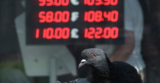 Россиянам позволят зарабатывать на ошибках в курсах валют