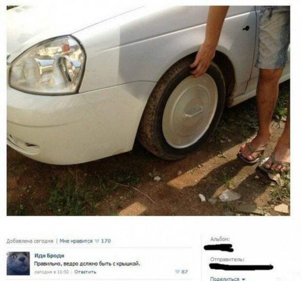 Прикольные картинки