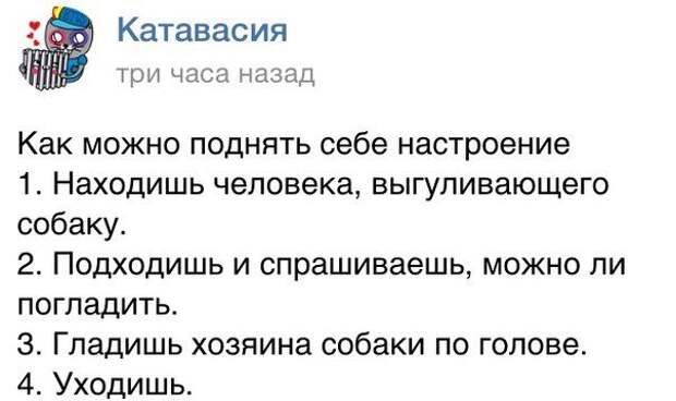 Весёлые комментарии из социальных сетей