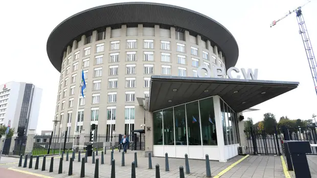 Захарова назвала ответственные за подрыв ОЗХО страны