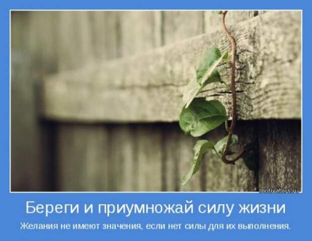 Мотиваторы, умные фразы и высказывания.