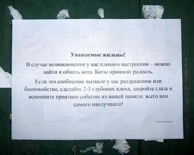 8082cea6a7f6ddc8e3543eb783f_prev
