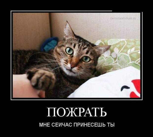 Демотиваторы, часть 46 (30 фото) Демотиваторы, часть 46 (30 фото)
