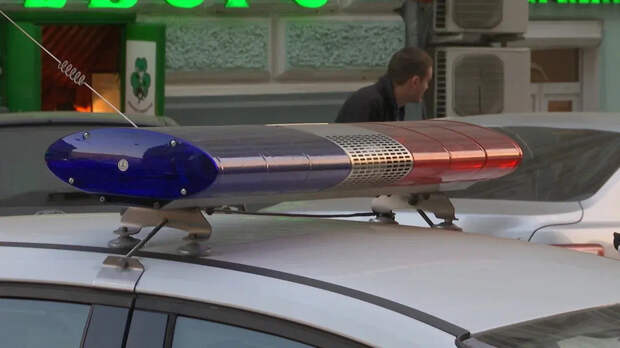 "Воспитание" дубиной с гвоздями: Охранник петербургской гимназии сорвался на наглых школяров