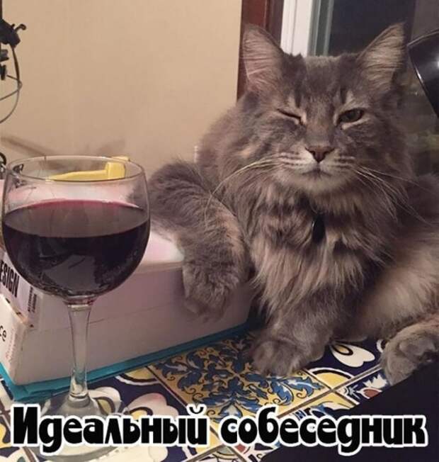 Алкопост Алкопост