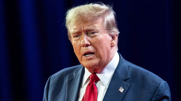 Трамп назвал НАТО "бумажным тигром" после отказа Европы помочь открыть Ормузский пролив