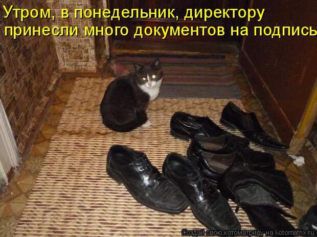 Утром, в понедельник, директору принесли много документов на подпись..