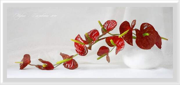 0_3cde8_1cd50ef5_XL (700x332, 46Kb)
