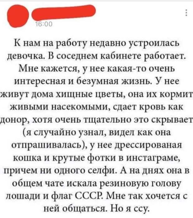 13. 13.