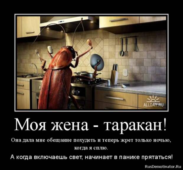 Демотиваторы. О наболевшем...О диете!