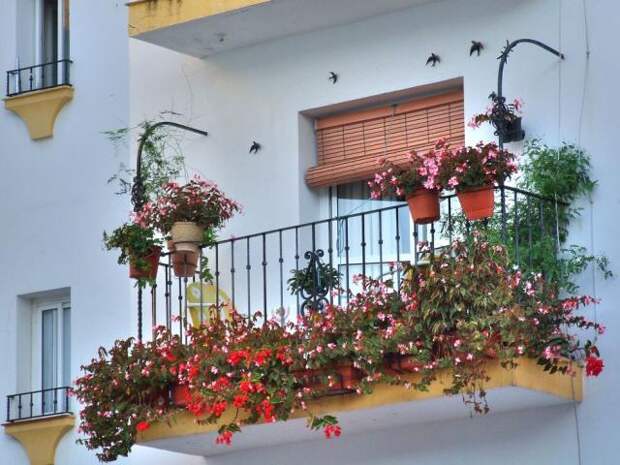 Балкон заставленный цветами и украшен макетами птиц
