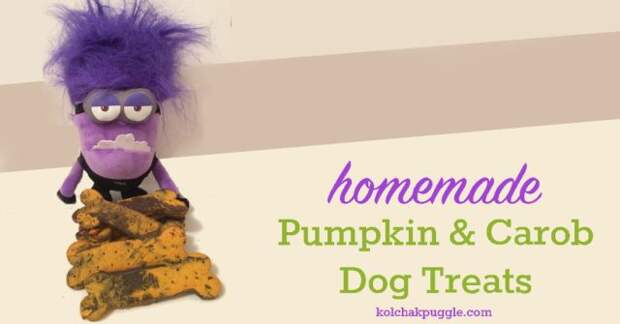 pumpkin-carob-treats-1024x536