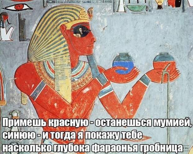 Картинки со смешными подписями