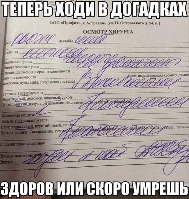 Свежая подборка смешных картинок  фото, юмор, картинки