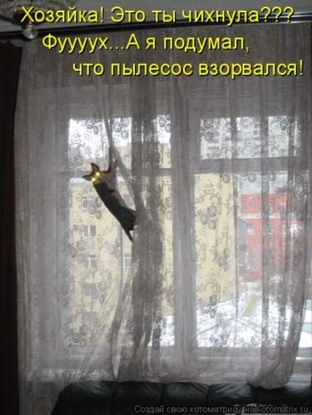 Прикольная котоматрица за неделю