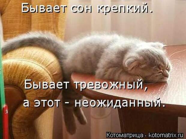 Котоматрицы(картинки с надписями)