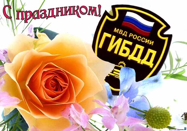 Картинка 4 из 135192
