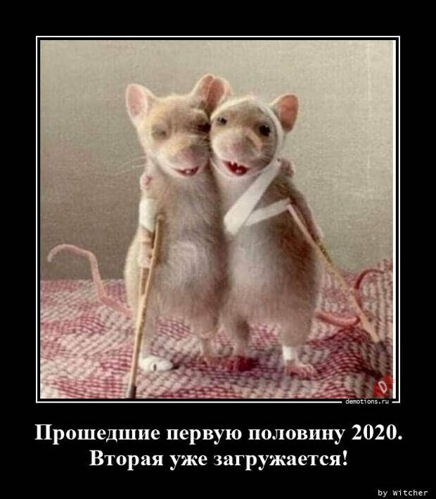 Свежие демотиваторы для хорошего настроения (29 фото)