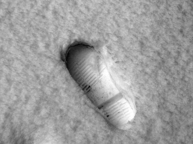 Свыше 3,6 тысячи человек искали волонтеры в Петербурге и Ленобласти за год