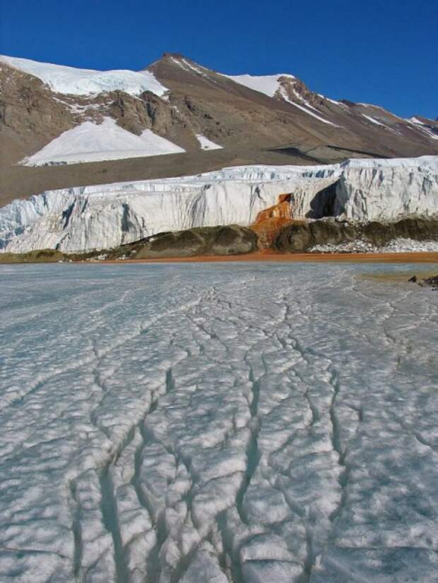 Красный водопад в Антарктиде (9 фото)