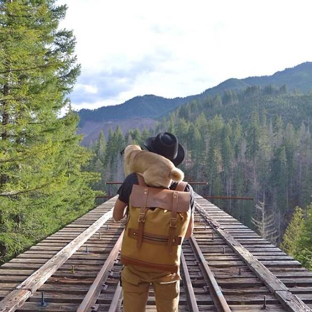 Друзья путешествуют по стране налегке.