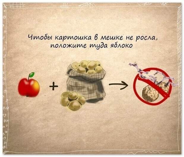 Полезные советы в картинках