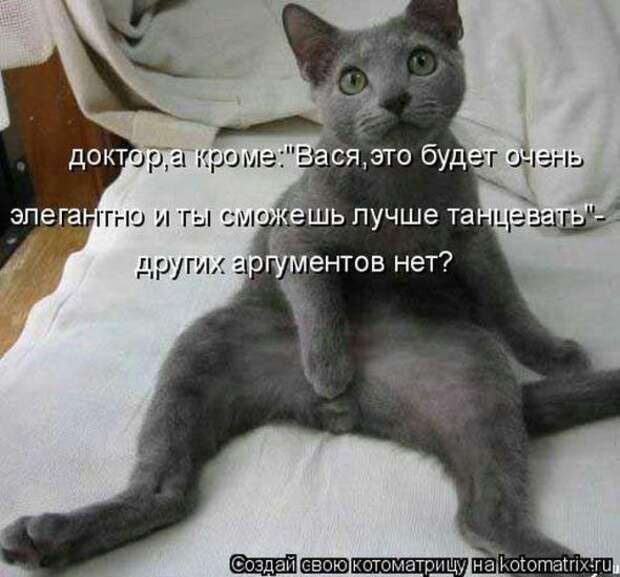 Котоматрицы (картинки с надписями)