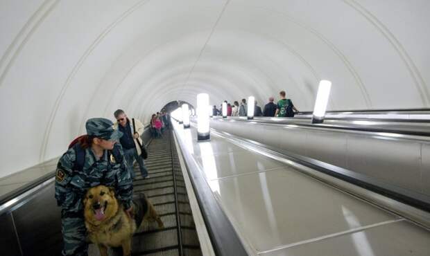 Группу быстрого реагирования на случай ЧП создадут в московском метро Группу быстрого реагирования на случай ЧП создадут в московском метро