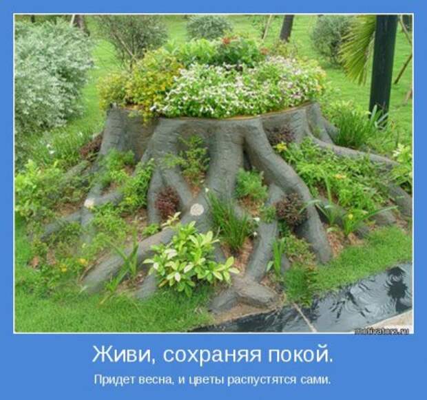 Мотиваторы. Учимся использовать результаты победы.