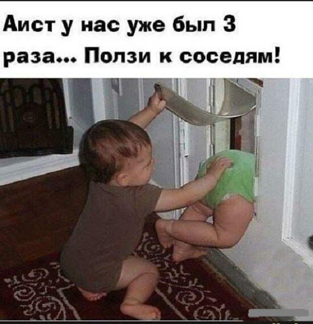 Аист Аист