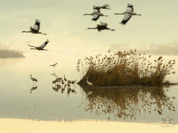 Лучшие фотографии от National Geographic