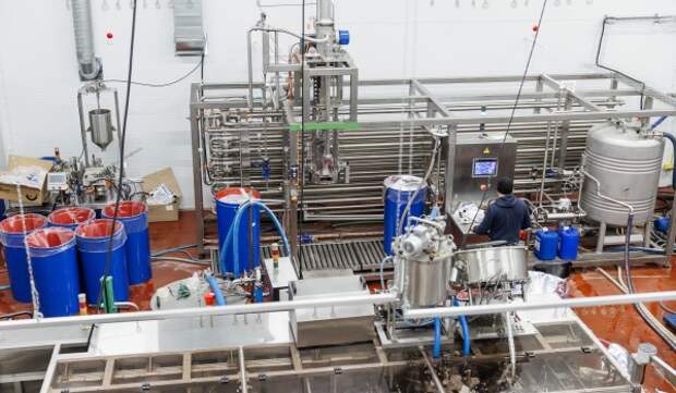 Московская компания увеличила производство ягодного пюре благодаря федпроекту