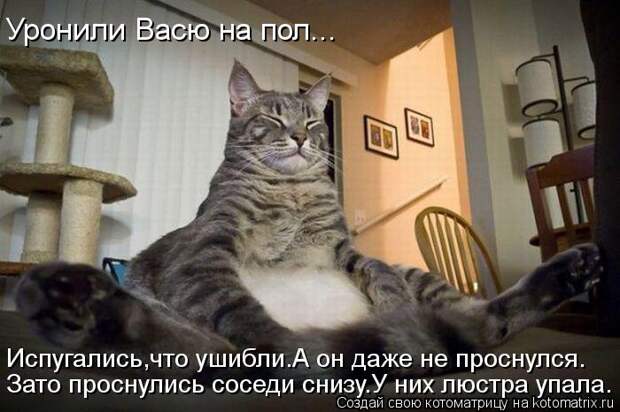 kotomatritsa_yx (700x466, 57Kb)