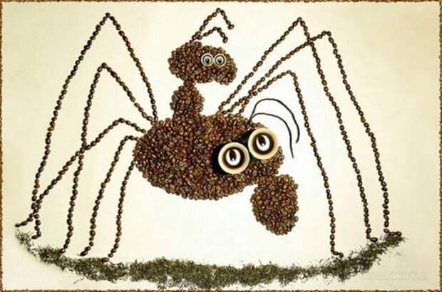 картина из кофейных зерен паучек
