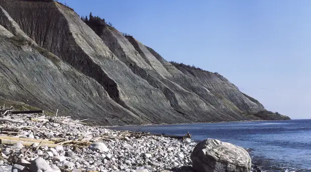«Эволюция органического мира»: российский палеонтолог — о страусах-гигантах, динозаврах и пещерных гиенах в Крыму