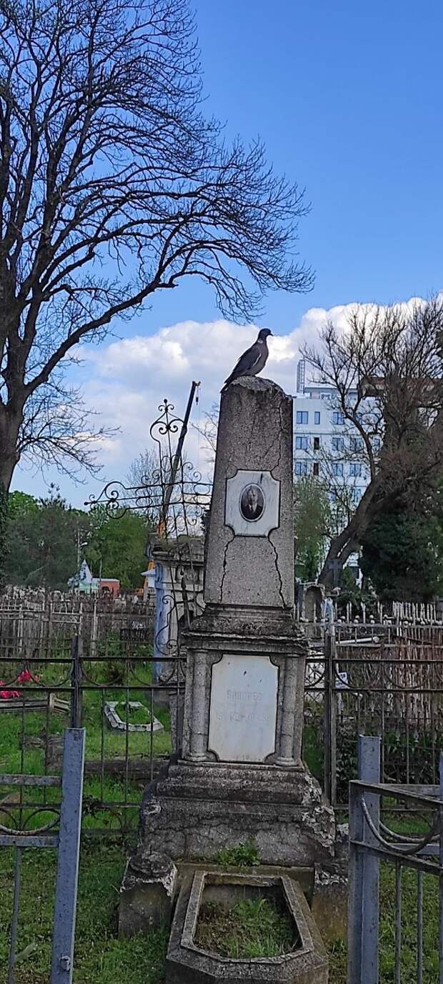 Снова массовые смерти в Кемеровской области: теперь в психоневрологическом диспансере