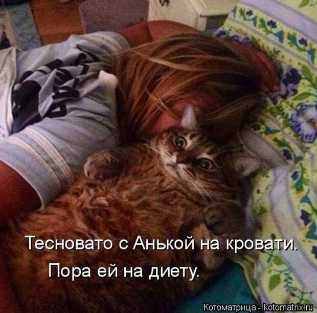 Лучшие котоматрицы недели