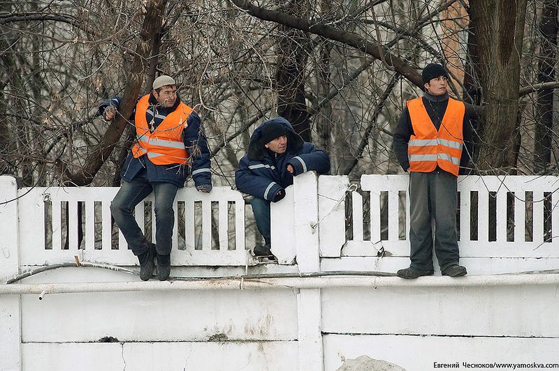 Музей Московского ипподрома ипподром, музей, москва
