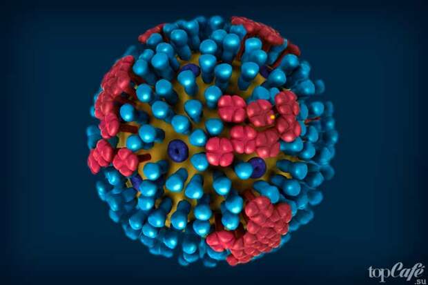 Топ-10 губительных бактерий и вирусов: H1N1. CC0