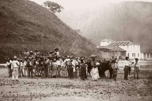 Рабы на кофейной ферме в Рио де Жанейро, Бразилия, 1885 год (Instituto Moreira Salles)