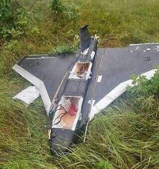 В Литве упал похожий на беспилотник объект, залетевший из Белоруссии