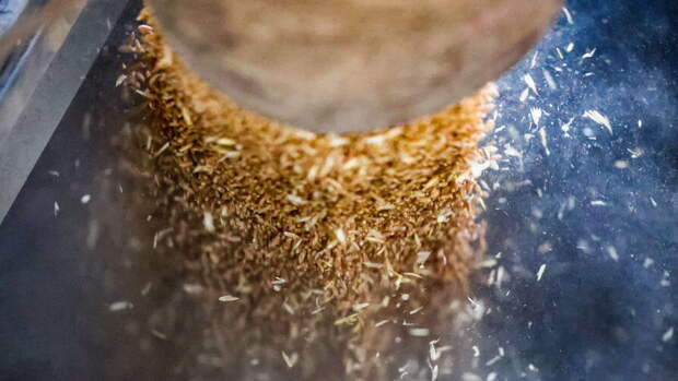 «Нечистый бизнес»: ЕС и Украина грозят Израилю санкциями из‑за зерна, доставленного в Хайфу