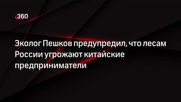 Эколог Пешков предупредил, что лесам России угрожают китайские предприниматели
